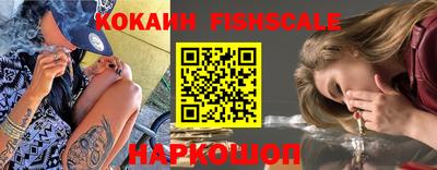 амф Гай