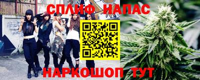 амф Гай